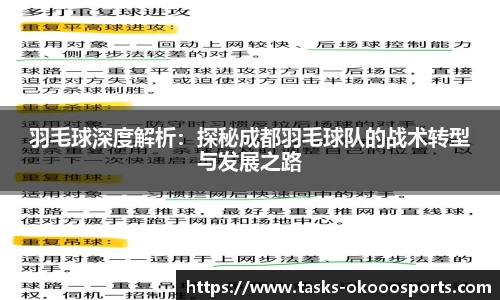 羽毛球深度解析：探秘成都羽毛球队的战术转型与发展之路